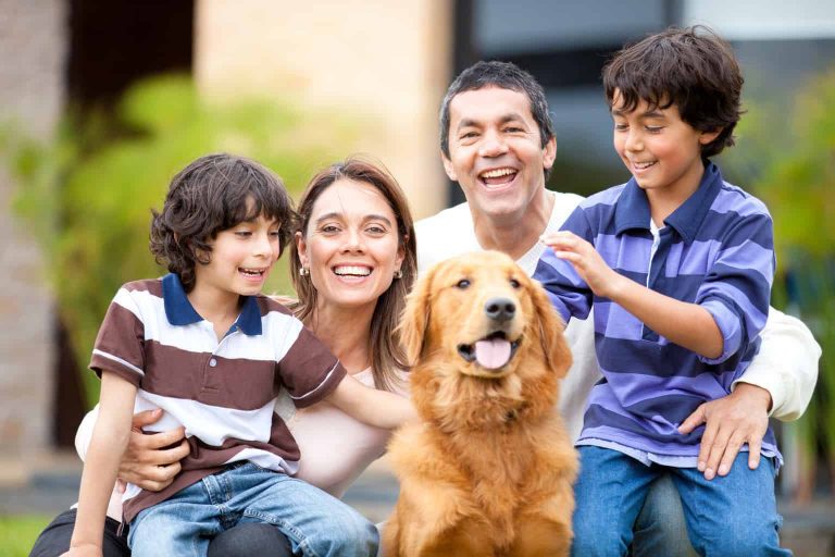 how to introduce a dog to a new family or home