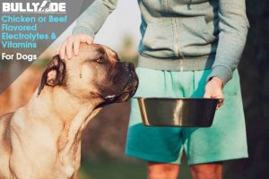 Electrolytes for dogs vitamin supplement for dogs