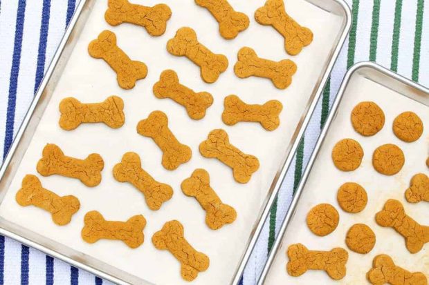 how-to-make-anti-inflammatory-dog-treats-with-bullyade