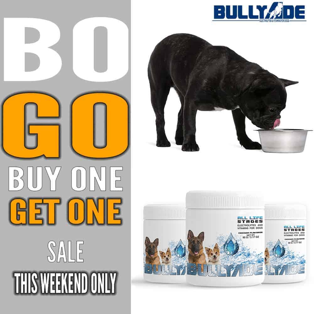 Bullyade Special Vitamins for dogs