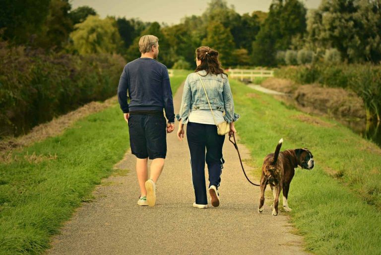 dog walking benefits