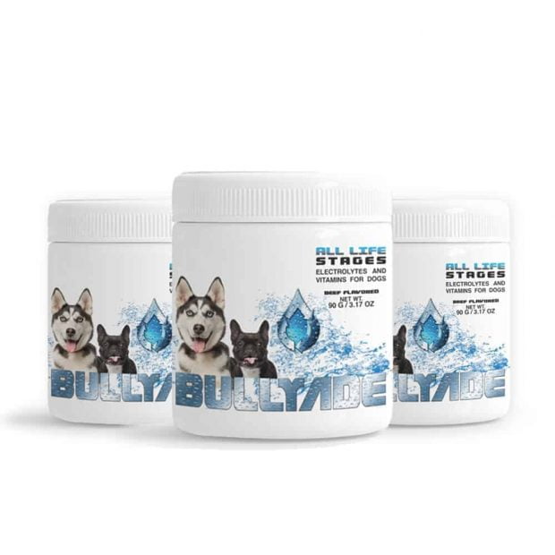 hydration for dogs