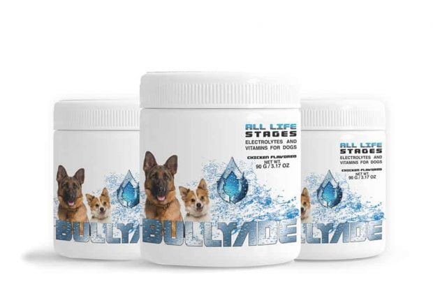 flavored electrolytes for dogs hydration for dogs