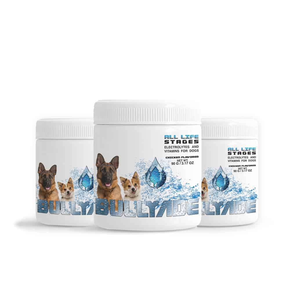 flavored electrolytes for dogs