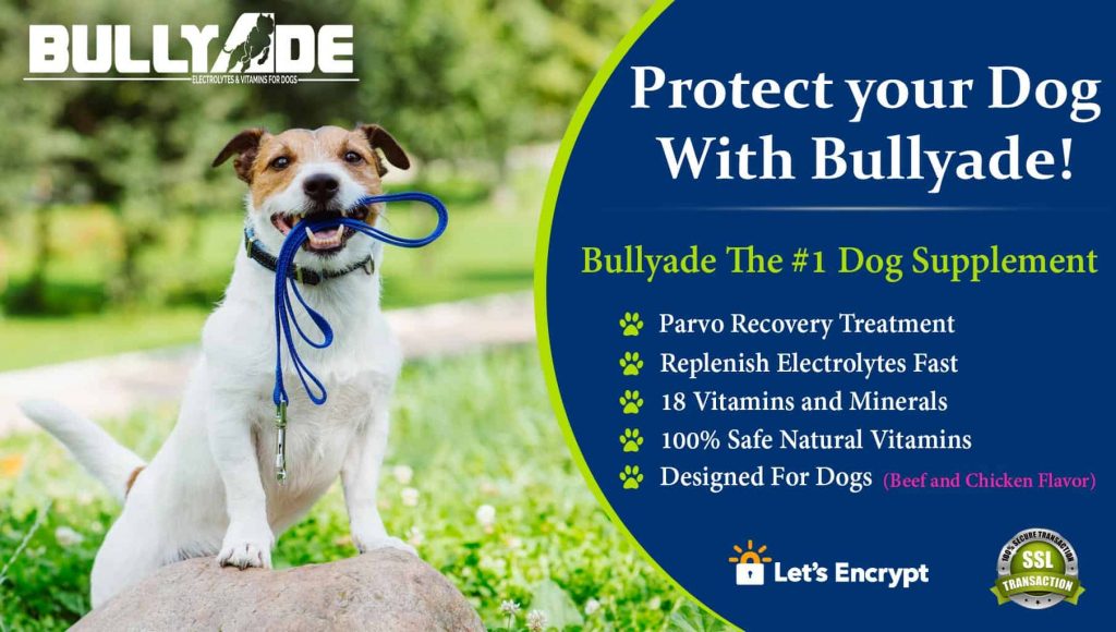 Vitamins & Electrolytes For Dogs Natural Dog Supplement