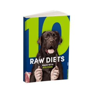 raw diet recipes for dogs