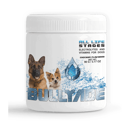 Vitamins for puppies with parvo sale