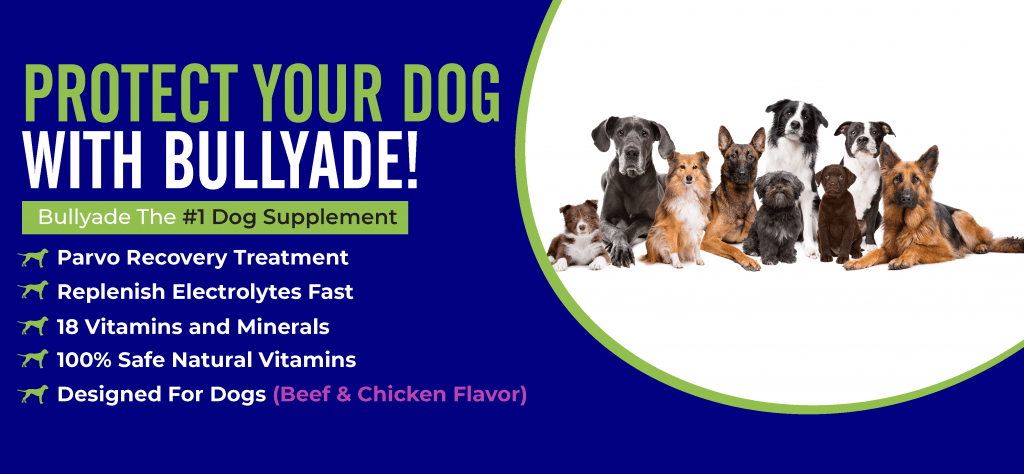 Bullyade ® | Best Dog Vitamins and Supplements