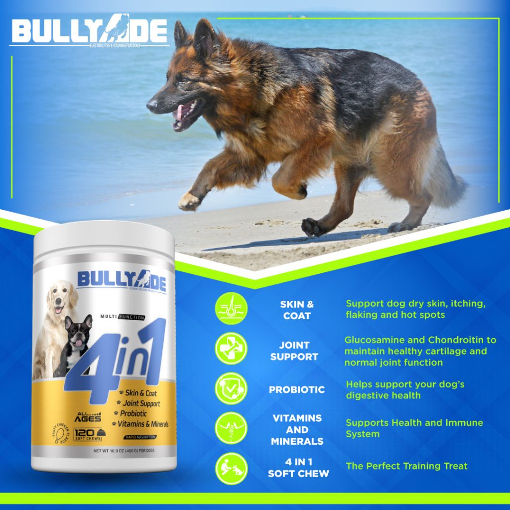 Iron vitamins for dogs best sale