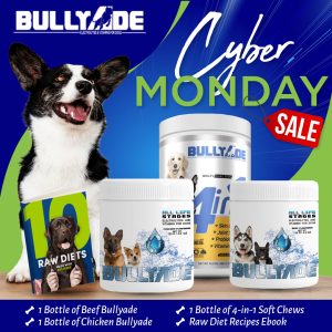 Cyber Monday Sale for dogs