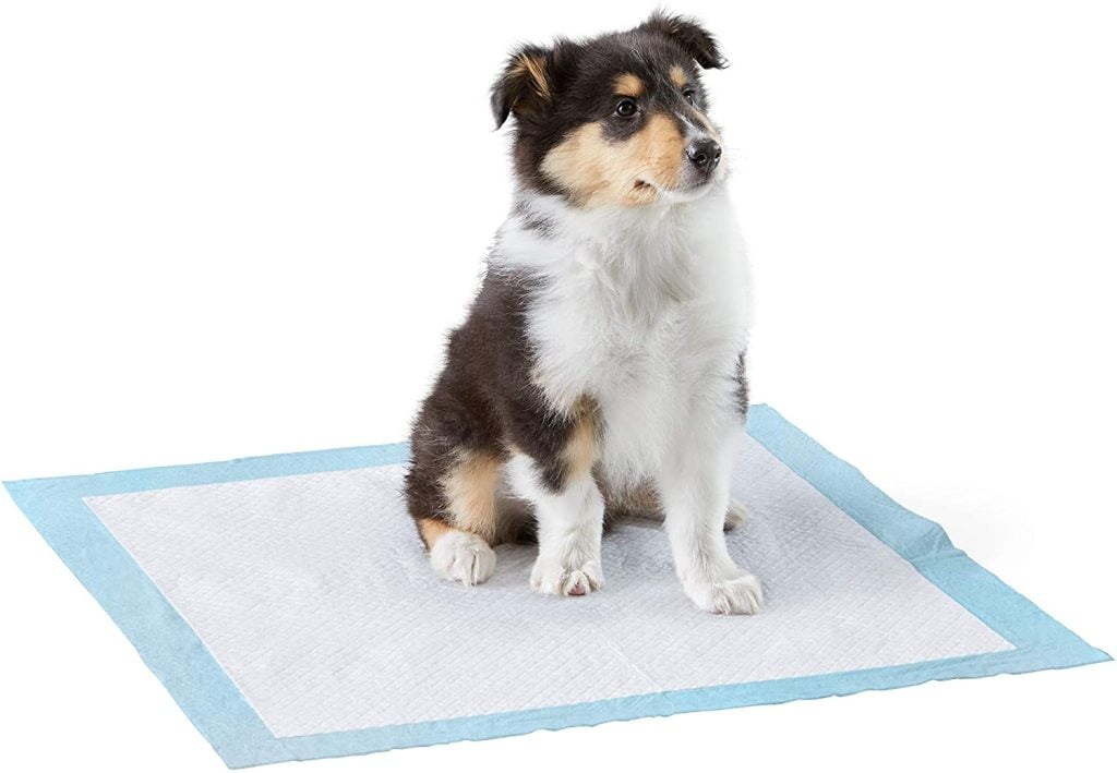 best dog gifts pee pad