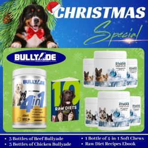 Christmas Sales on Pet Products